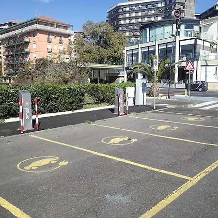 Casalicuti